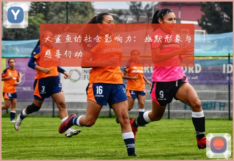大鲨鱼的社会影响力：幽默形象与慈善行动