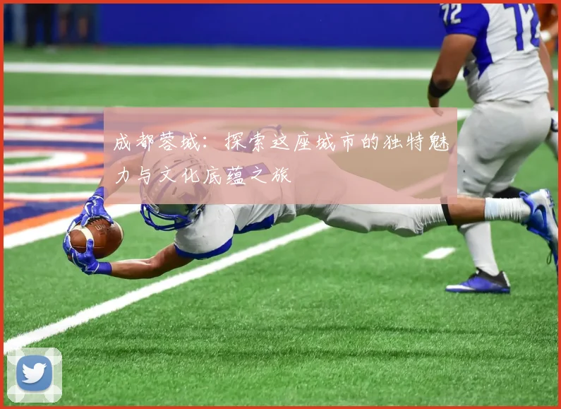 成都蓉城：探索这座城市的独特魅力与文化底蕴之旅