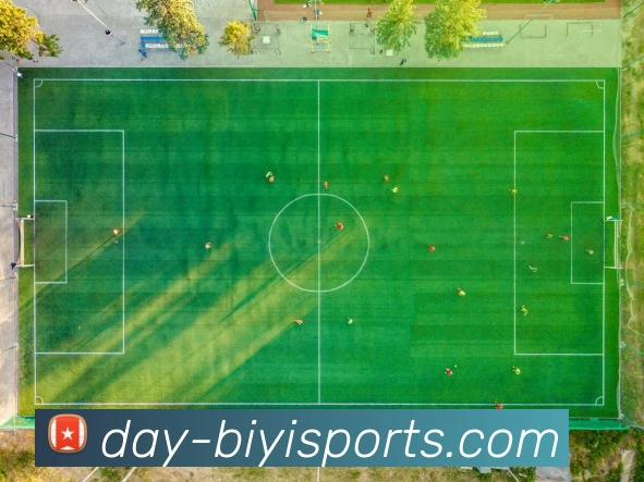 必一体育平台生态图